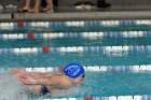 Women's Swimming & Diving  Wheaton College Women’s Swimming & Diving vs Mount Holyoke College. - Photo by Keith Nordstrom : Wheaton, Swimming & Diving